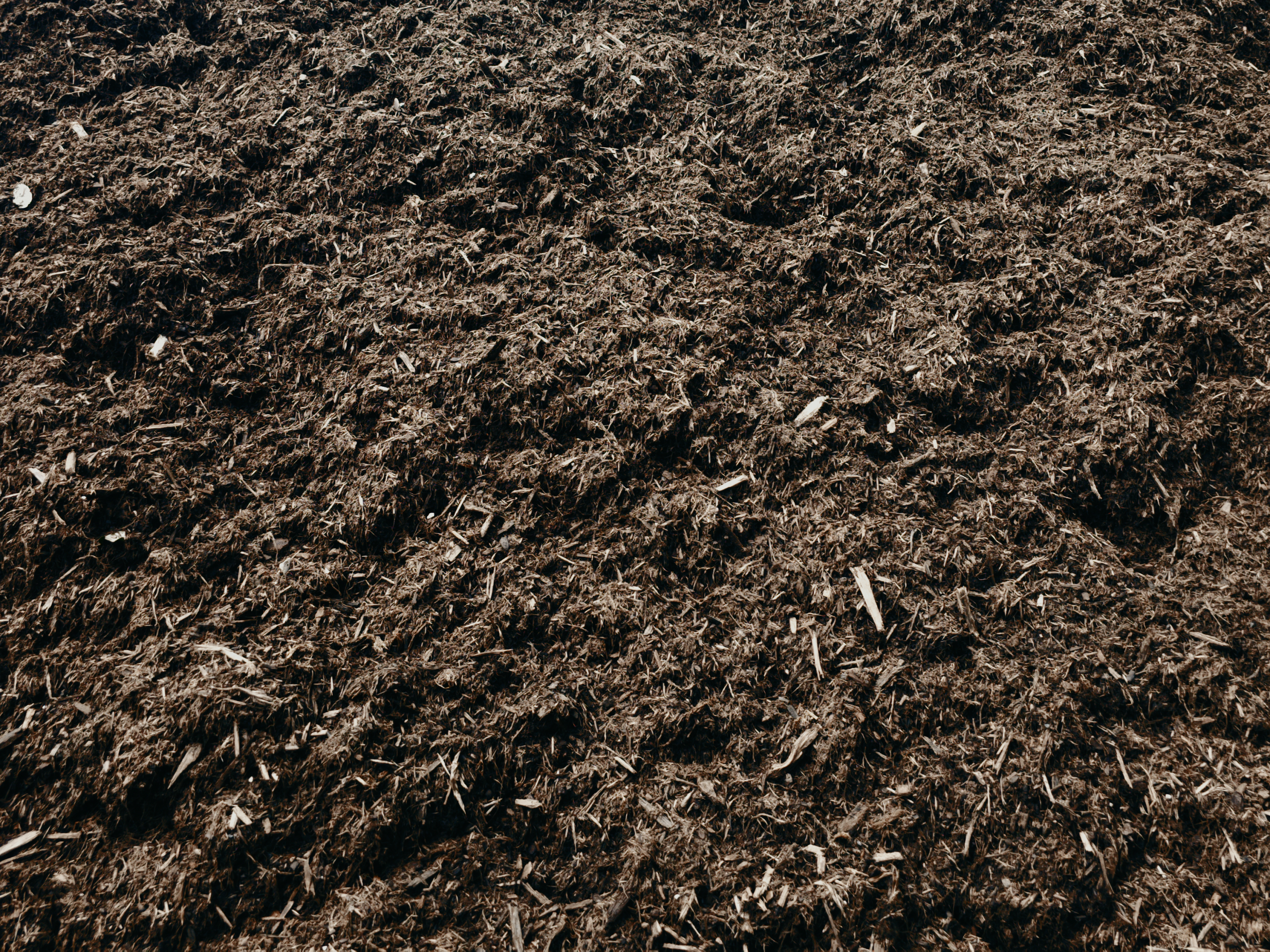 Close-up view of natural brown dyed hardwood mulch, featuring its earthy tone and consistent shredded texture, ideal for garden beds and pathways.