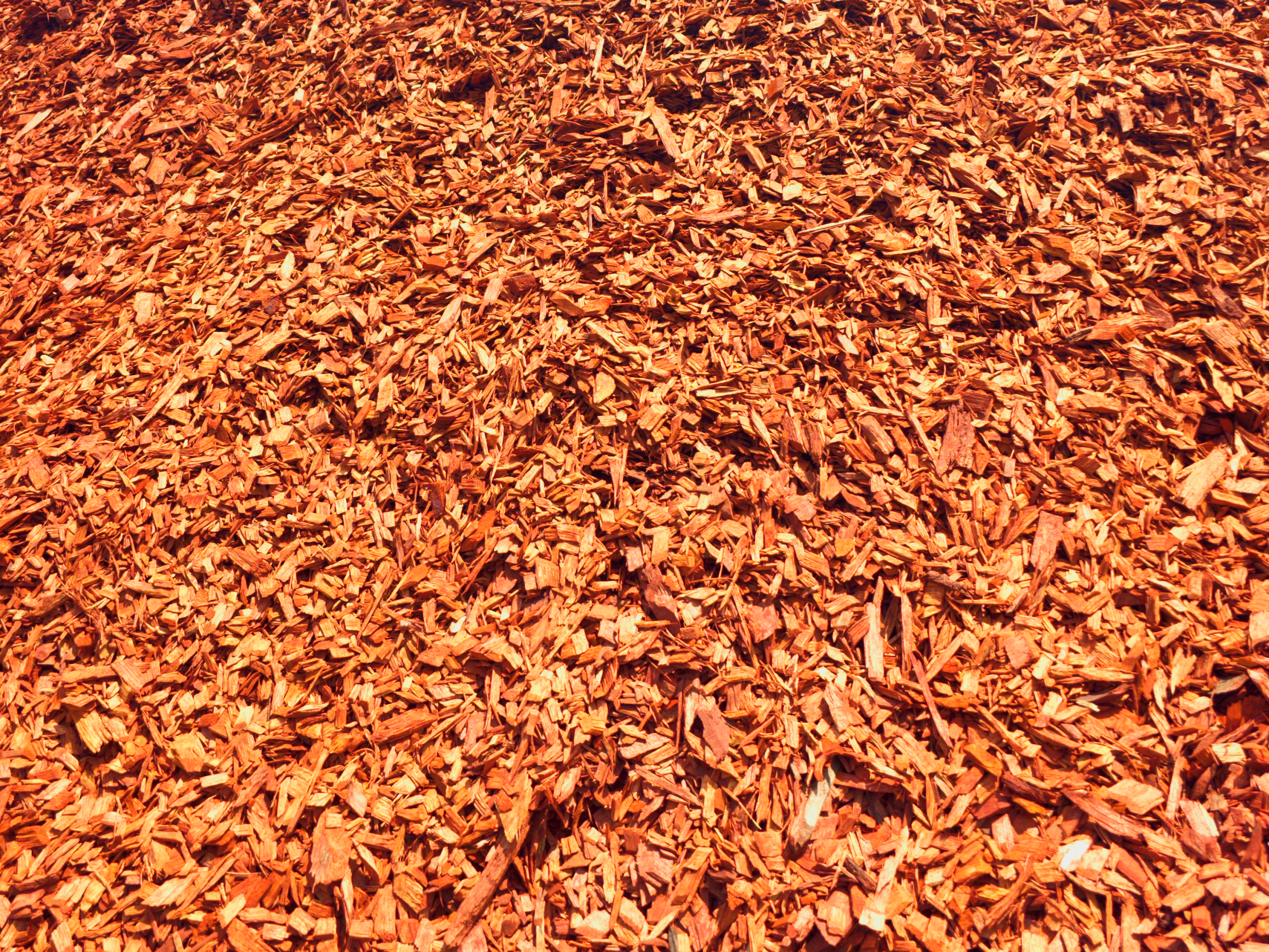 Close-up view of vibrant red dyed hardwood mulch, highlighting its rich color and shredded wood texture, ideal for landscaping and garden beds.