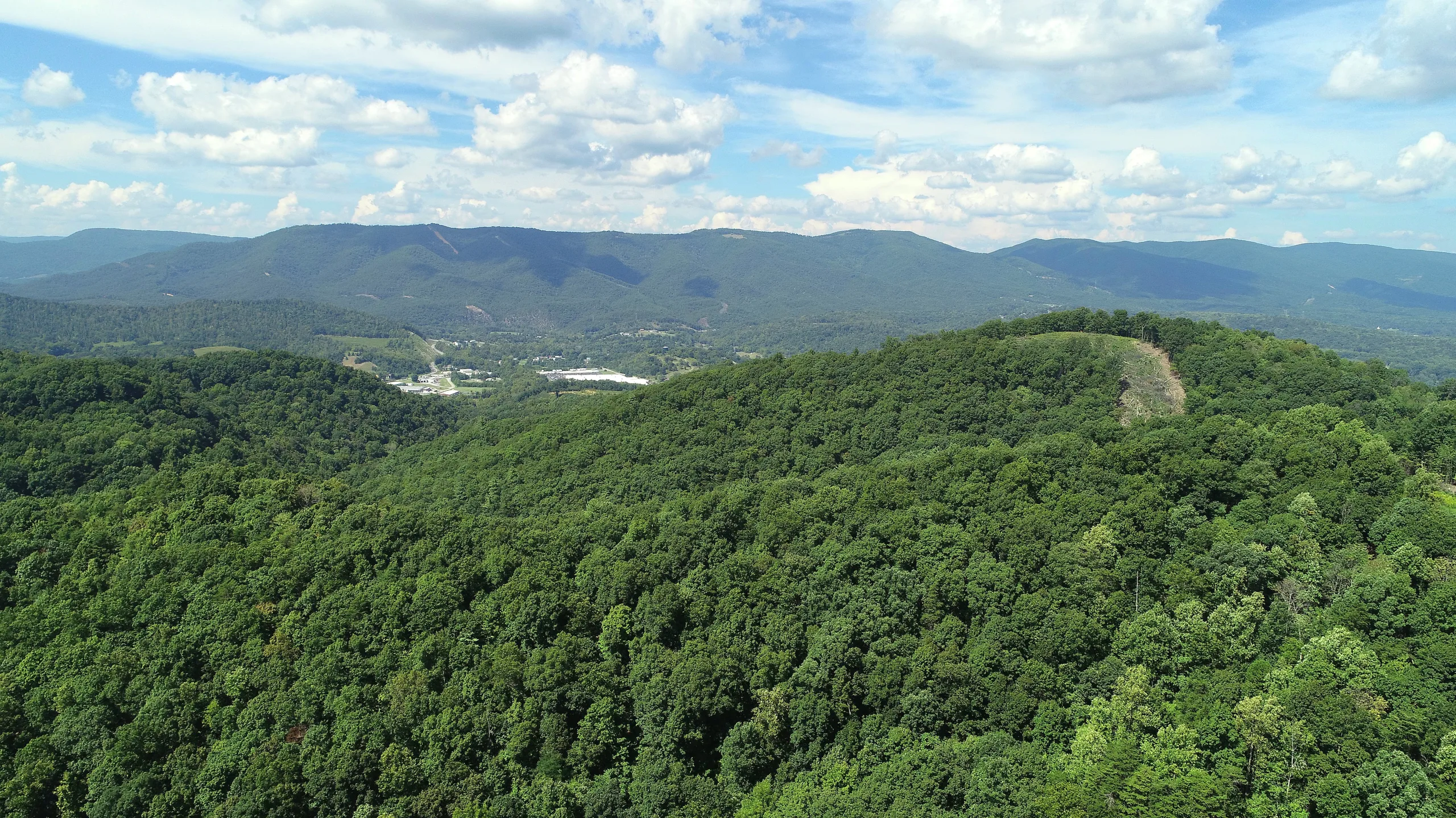 Aerial view of sustainably managed Appalachian hardwood forests in Floyd County, Virginia, representing The Turman Group’s commitment to forest stewardship and eco-friendly mulch production by Blackberry Mulch.